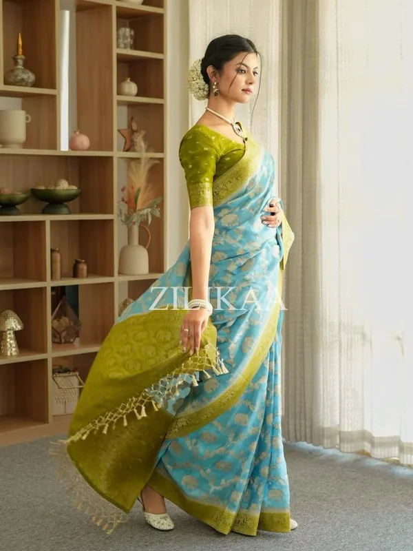 Banarasi_Soft_Silk_SKY-PARROT_Premium-Fancy_Saree_With_Blouse_For_Women
