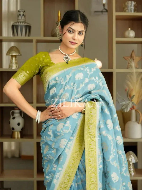 Banarasi_Soft_Silk_SKY-PARROT_Premium-Fancy_Saree_With_Blouse_For_Women