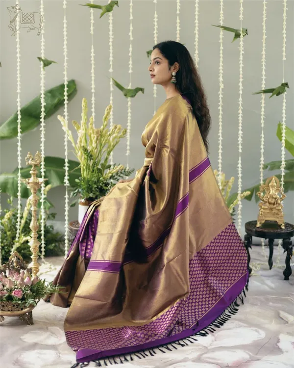 Banarasi_Soft_Silk_NAVY-BLUE_Premium-Fancy_Saree_With_Blouse_For_Women