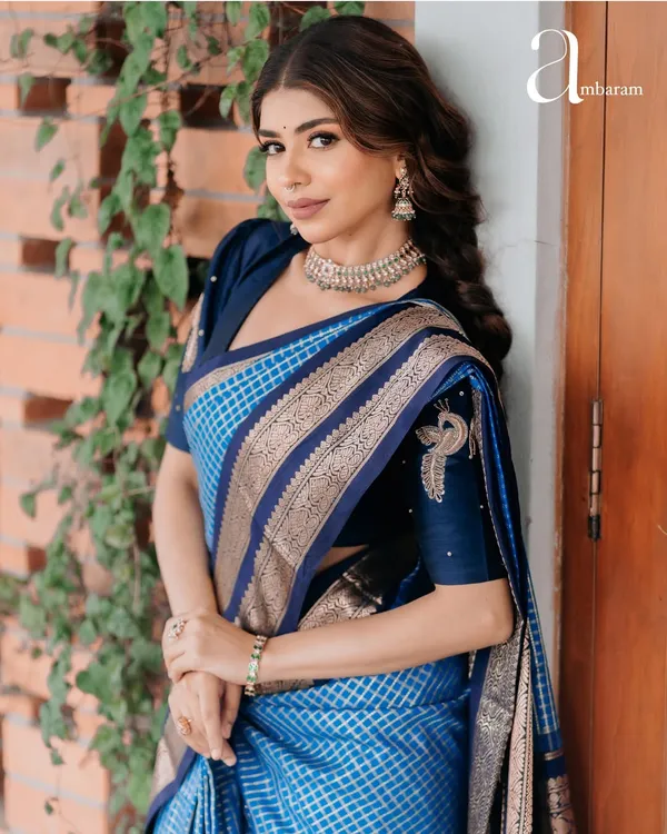 Banarasi_Soft_Silk_SKY-NAVY-BLUE_Premium-Fancy_Saree_With_Blouse_For_Women