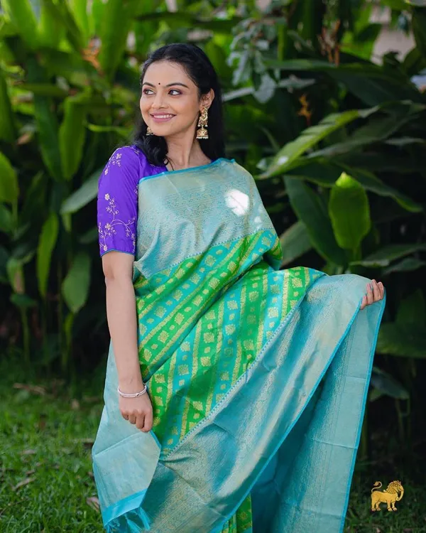 Banarasi_Soft_Silk_PARROT-SKY_Premium-Fancy_Saree_With_Blouse_For_Women