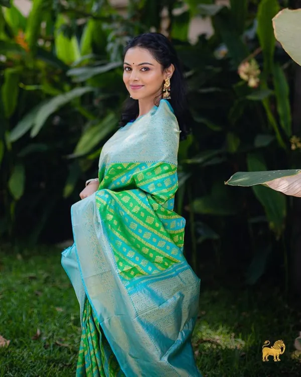 Banarasi_Soft_Silk_PARROT-SKY_Premium-Fancy_Saree_With_Blouse_For_Women