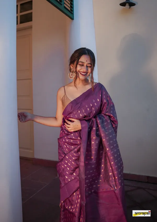 Banarasi_Soft_Silk_WINE_Premium-Fancy_Saree_With_Blouse_For_Women