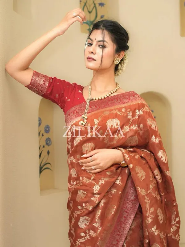 Banarasi_Soft_Silk_RED-ORANGE_Premium-Fancy_Saree_With_Blouse_For_Women