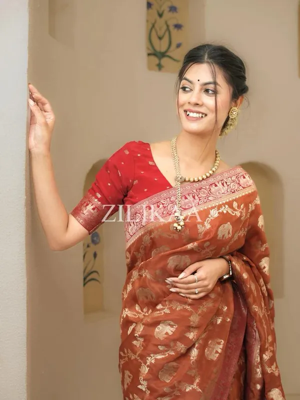 Banarasi_Soft_Silk_RED-ORANGE_Premium-Fancy_Saree_With_Blouse_For_Women