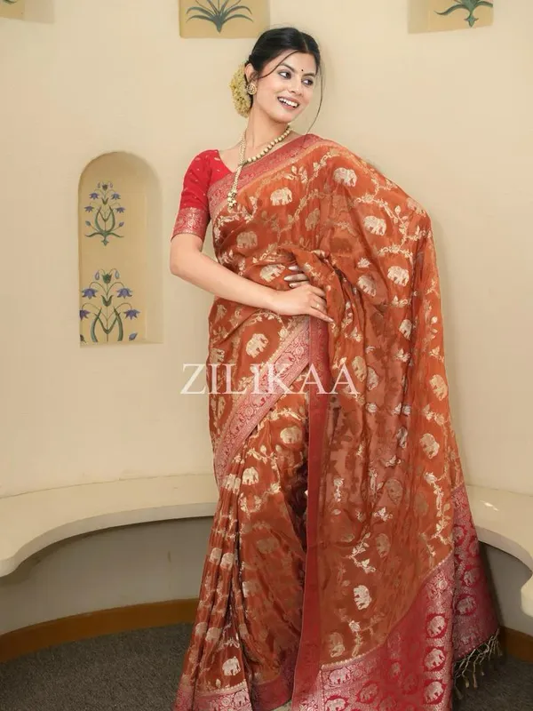 Banarasi_Soft_Silk_RED-ORANGE_Premium-Fancy_Saree_With_Blouse_For_Women