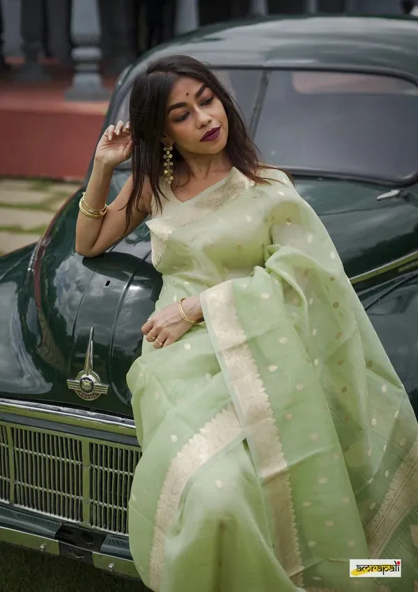 Pure_Soft_Cotton_PISTA_Premium-Fancy_Saree_With_Blouse_For_Women