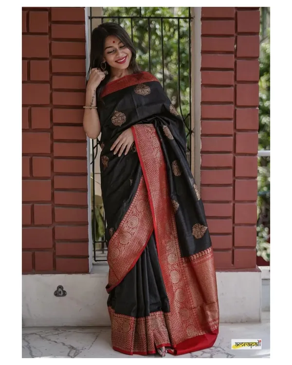 Banarasi_Soft_Silk_BLACK-RED_Premium-Fancy_Saree_With_Blouse_For_Women