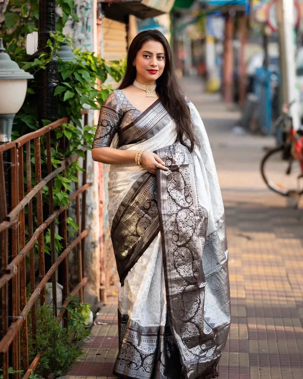 Banarasi_Soft_Silk_GREY-BLACK_Premium-Fancy_Saree_With_Blouse_For_Women