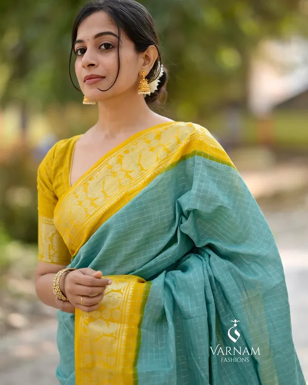 Banarasi_Soft_Silk_PISTA_Premium-Fancy_Saree_With_Blouse_For_Women