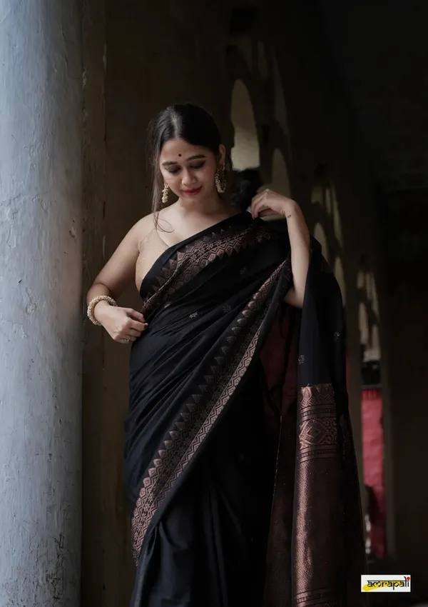 Banarasi_Soft_Silk_BLACK_Premium-Fancy_Saree_With_Blouse_For_Women
