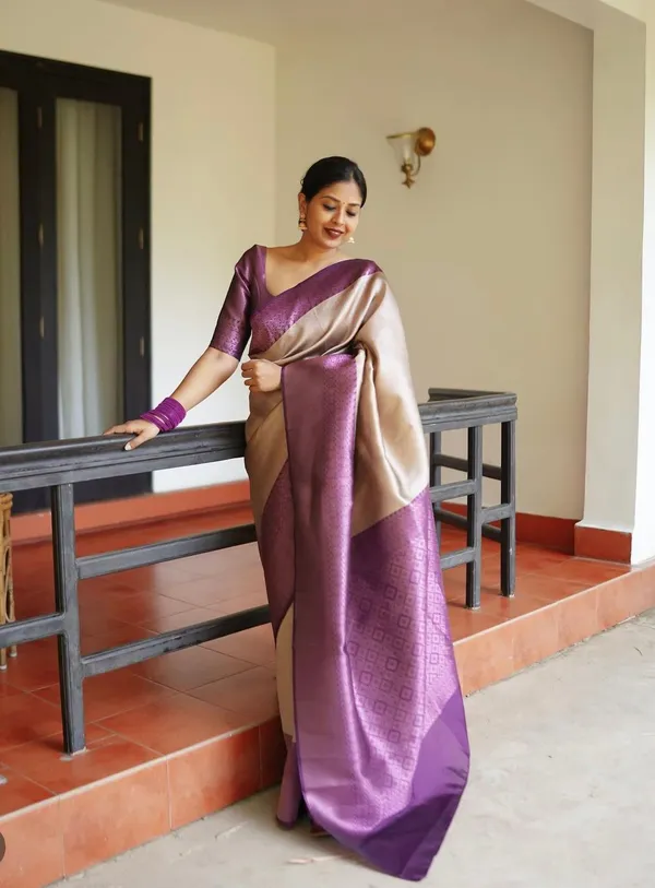 Banarasi_Soft_Silk_CHIKU-WINE_Premium-Fancy_Saree_With_Blouse_For_Women
