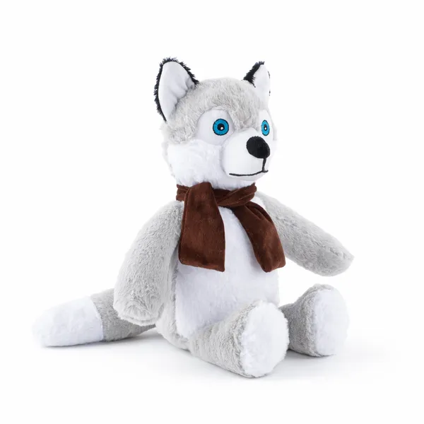 Multicolor_Premium_Leo_Husky_For_Kids