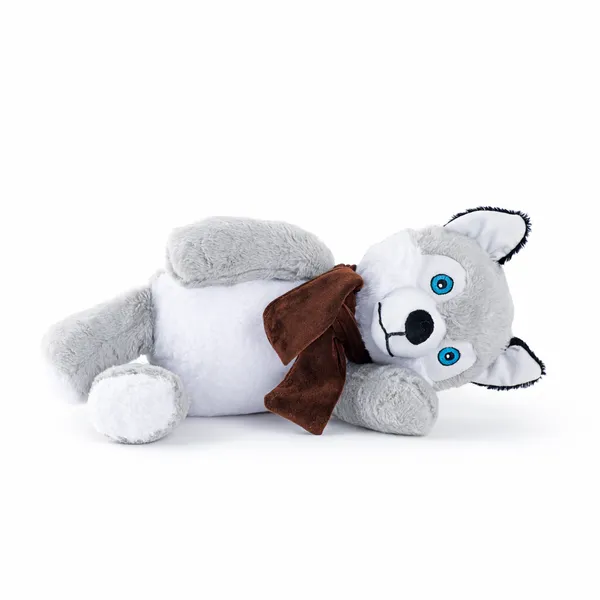 Multicolor_Premium_Leo_Husky_For_Kids
