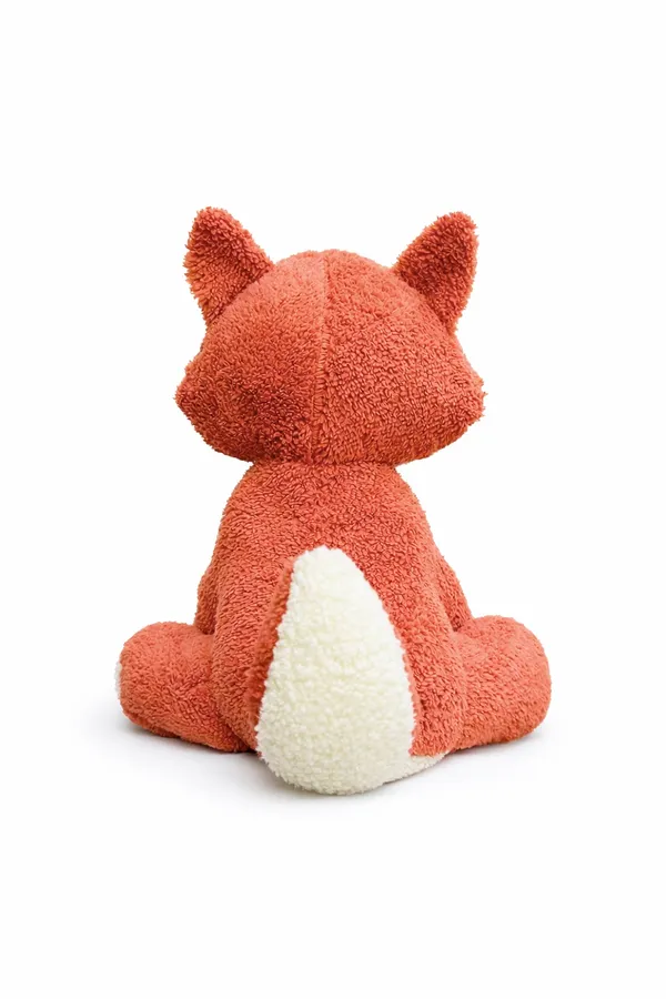 Baby_Fox