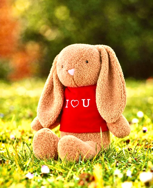 Light_Brown_Premium_Bunny_For_Kids