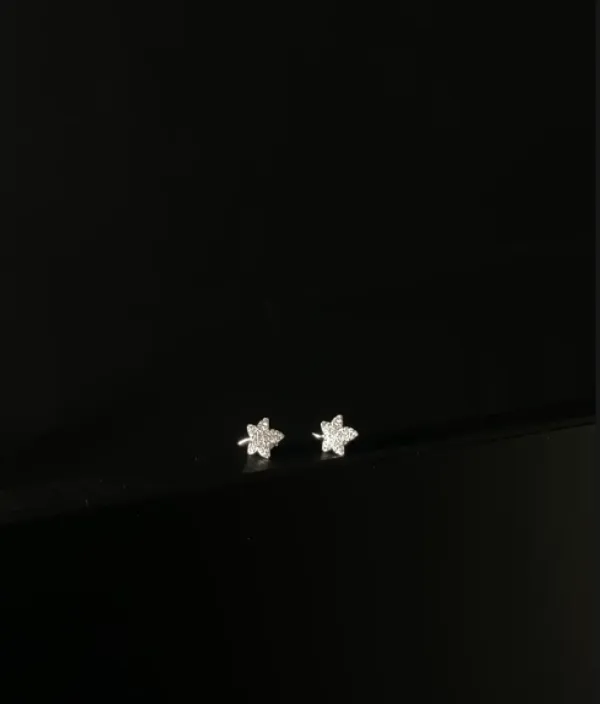 Silver_Alloy_With_Crystal_Stone_Wee_Top_Stud_Earrings_For_Women