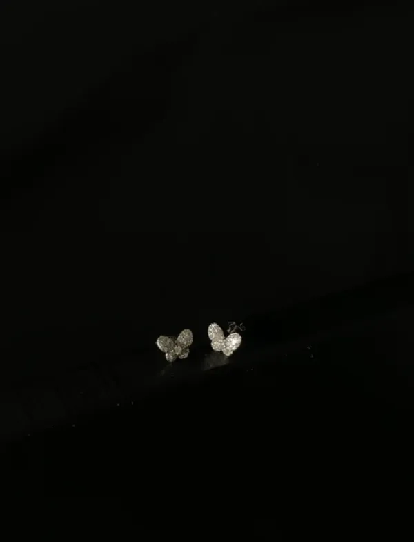 Silver_Alloy_With_Crystal_Stone_Buff_Top_Stud_Earrings_For_Women