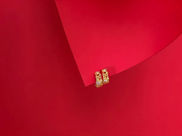 Gold_Plated_Stellar_Hoops_Earrings_For_Women