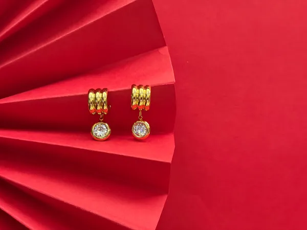 Gold_Plated_Stunned_Danglers_Earrings_For_Women