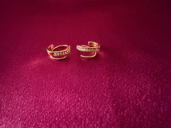 Gold_Plated_Twisted_Hoops_Earrings_For_Women