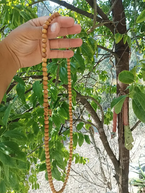 White_Sandalwood_Mala_108_Bead