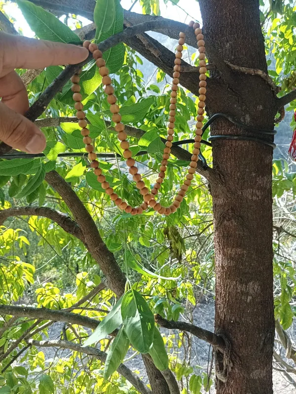 White_Sandalwood_Mala_108_Bead