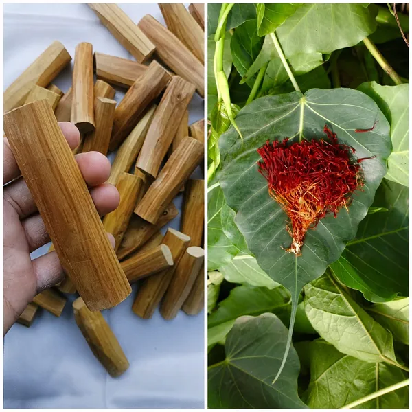 Pure_White_Sandalwood_Heartwood_(Stick_100_Gm__And_Saffron_2gm_)