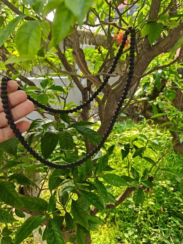 Karungali_Mala__(Black_Ebony_wood_Mala)_108_Beads_