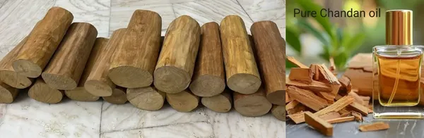 Pure_Sandalwood_Stick_50_Gm_And_5_Ml_Sandalwood_Oil_Combo