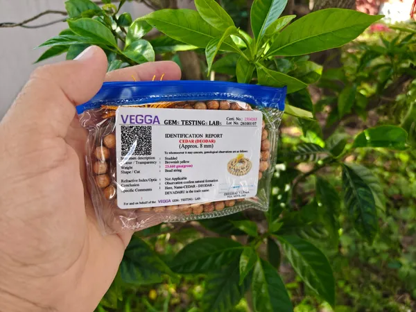 Original_Deodar_(Cedar)__certified_108_Beads_Jaap_Mala