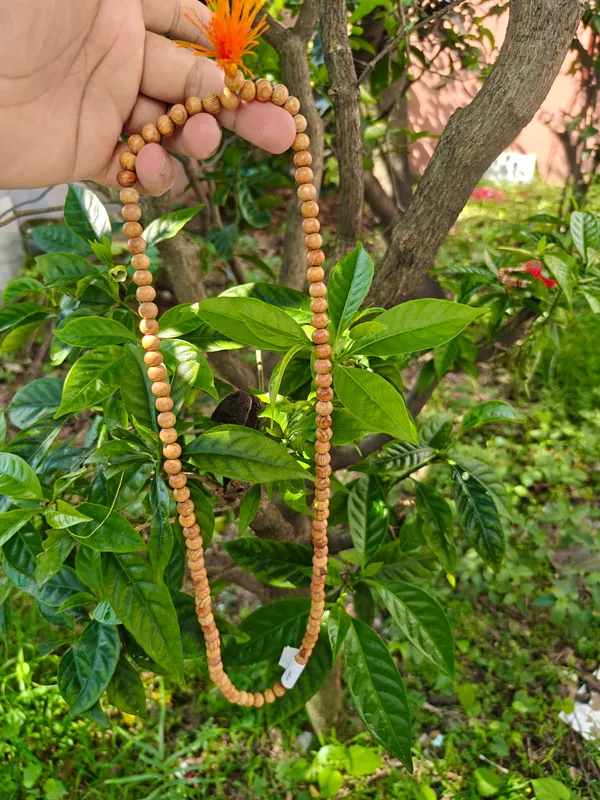 Original_Deodar_(Cedar)__certified_108_Beads_Jaap_Mala