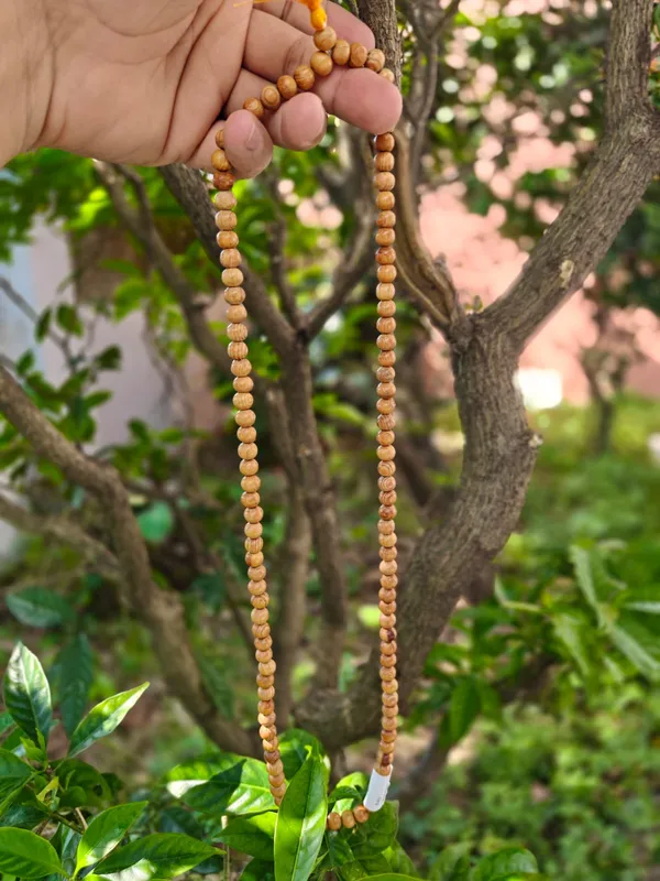 Original_Deodar_(Cedar)__certified_108_Beads_Jaap_Mala