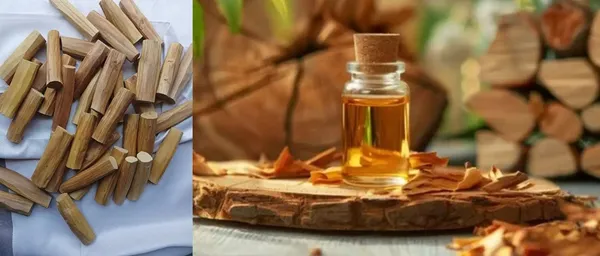 Pure_white_Sandalwood_Stick_50_Gm_And_5_Ml_Sandalwood_Oil_Combo