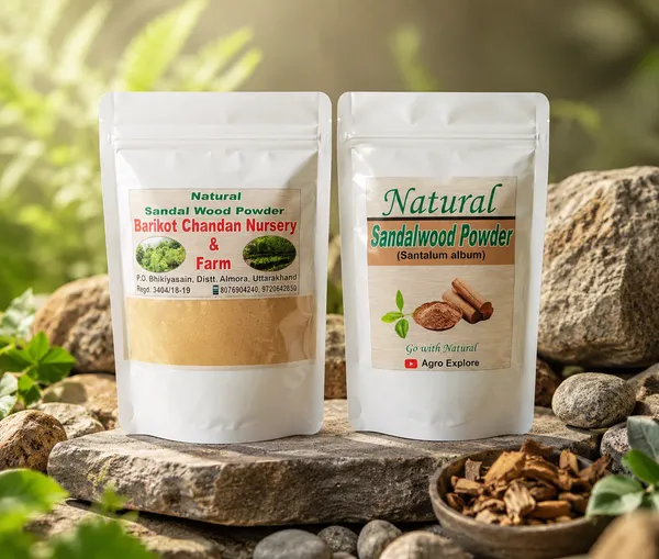 Natural_Sandalwood_Powder_(Mixture_Heartwood_And_Sapwood_)