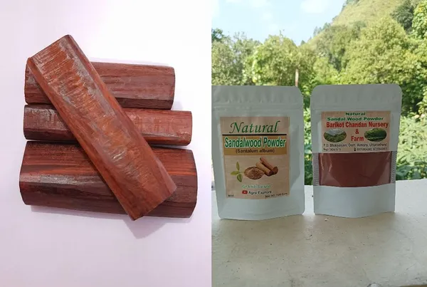 Red_Sandalwood_Heartwood_(_Stick__And_Powder_)_Combo