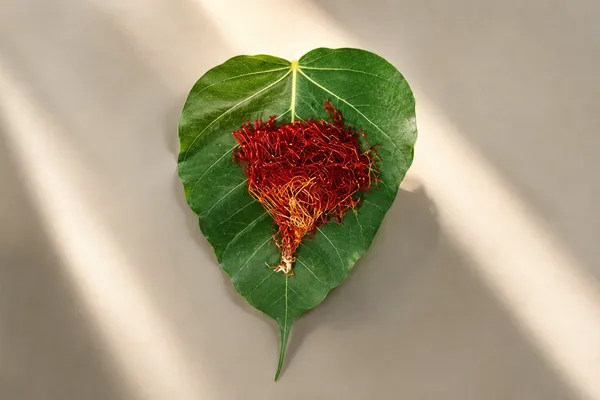 Saffron_Pure_Organic_Kashmiri