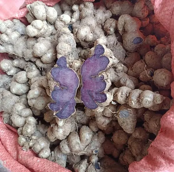 Natural_Pure_Black_Ginger_Powder