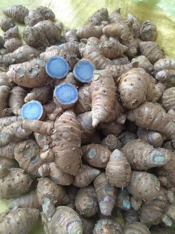 Natural_Pure_Black_Turmeric_Powder