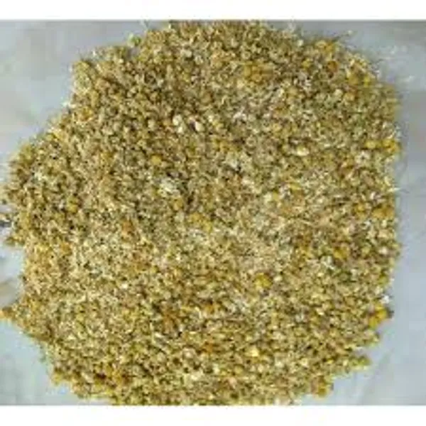 Dry_Chamomile_Flowers