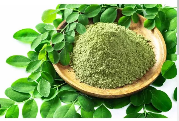 Pure_Organic_Moringa_Powder