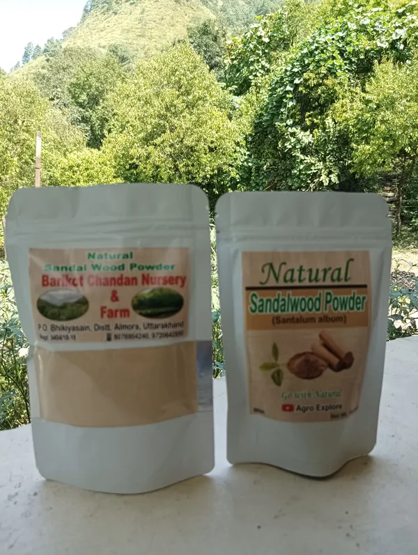 Natural_Sandalwood_Powder_(Mixture_Heartwood_And_Sapwood_)