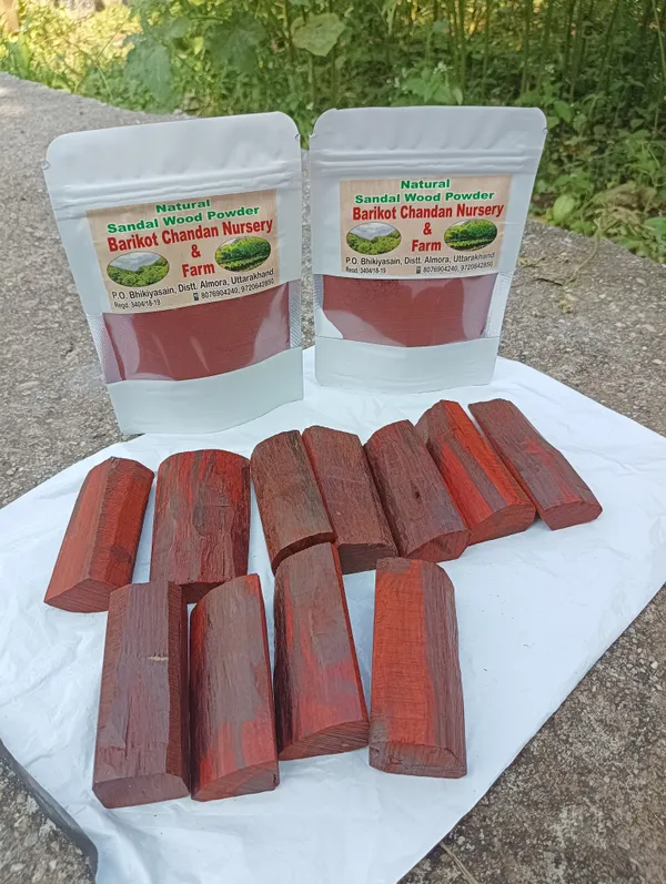 Red_Sandalwood_Heartwood_Powder