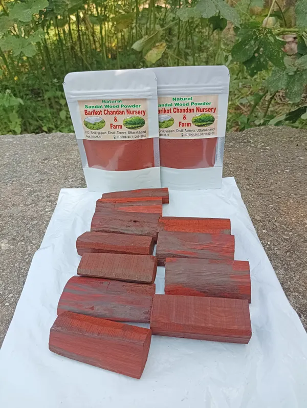Red_Sandalwood_Heartwood_(_Stick__And_Powder_)_Combo