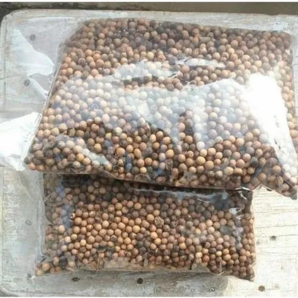 White_Sandalwood_Seed_100_Gm