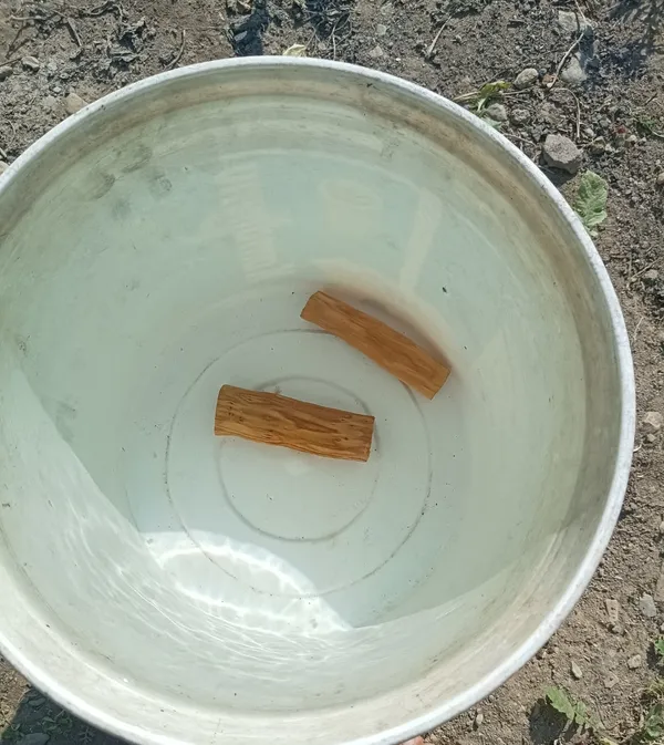 Pure_White_Sandalwood_Sinkable_Grade_Stick