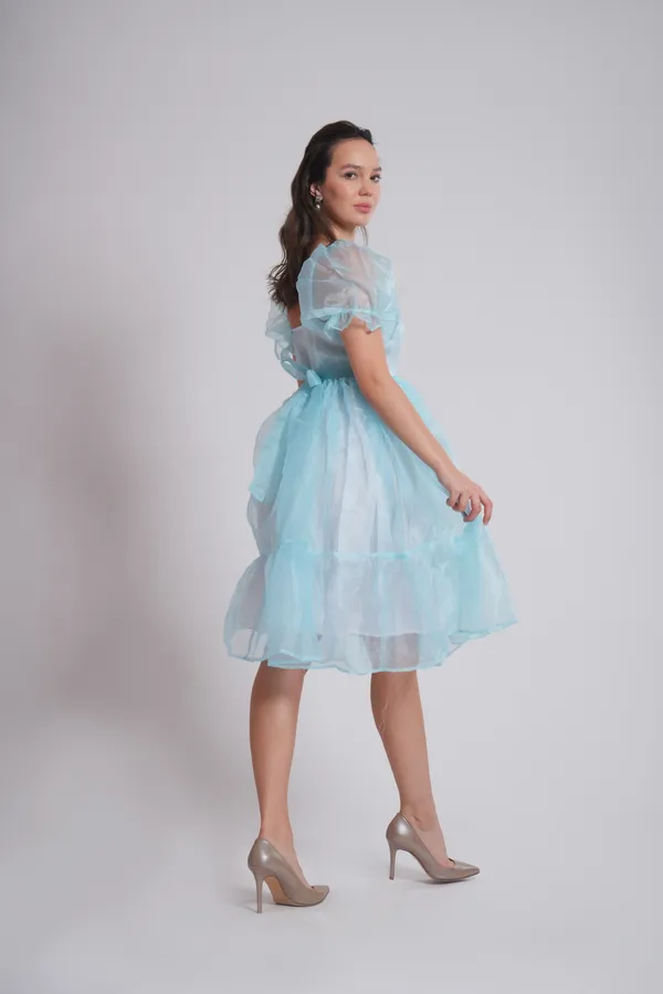 Women's_Pure_Cotton_Cinderella_Dress_of_Light_Blue_Color_|_Comfortable_&_Elegant_Everyday_Wear