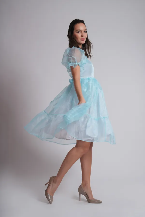 Women's_Pure_Cotton_Cinderella_Dress_of_Light_Blue_Color_|_Comfortable_&_Elegant_Everyday_Wear
