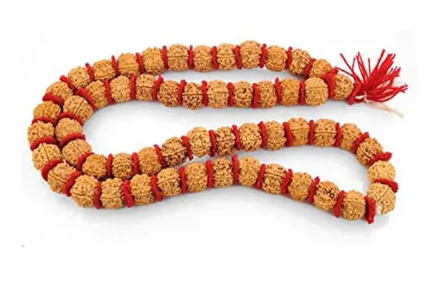 Orange_Natural_Rudraksha_Seeds_Rudraksha_Mala