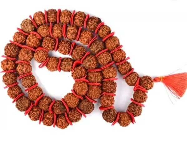 Orange_Natural_Rudraksha_Seeds_Rudraksha_Mala